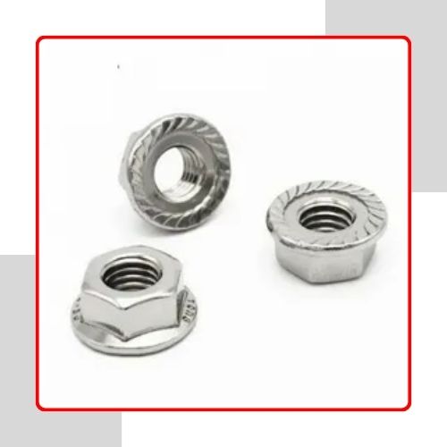 Flange Nuts in india