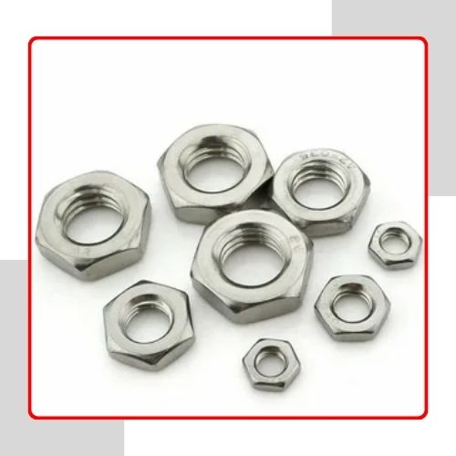 SS 304 Nuts in india