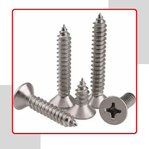 SS 304 Screw in india