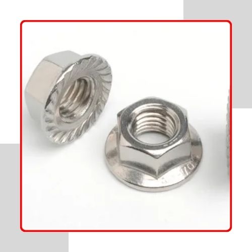 Serrated Flange Nuts in india