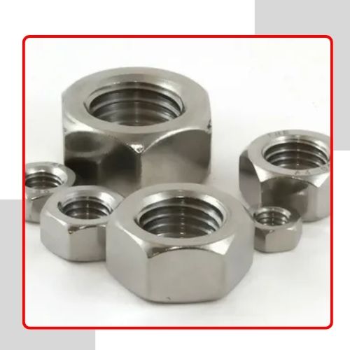 Stainless 316L Steel Hex Nuts in india